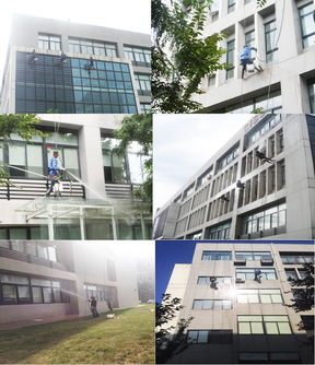 軟件園外包基地外墻煥新記 專業(yè)清洗服務保障園區(qū)形象與安全